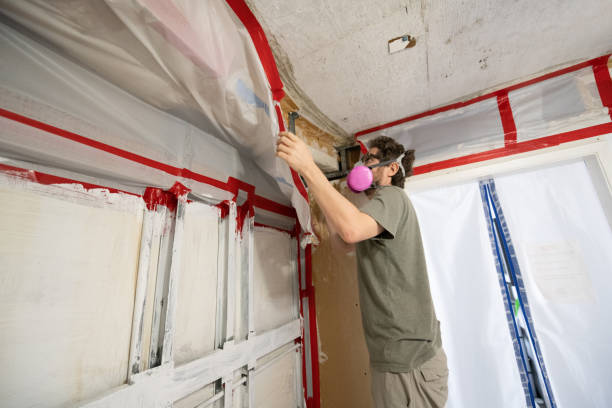 Mold Remediation for Vacation Homes in Flourtown, PA